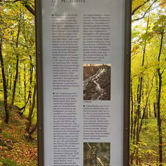 22-10-15 16-38-51 3029